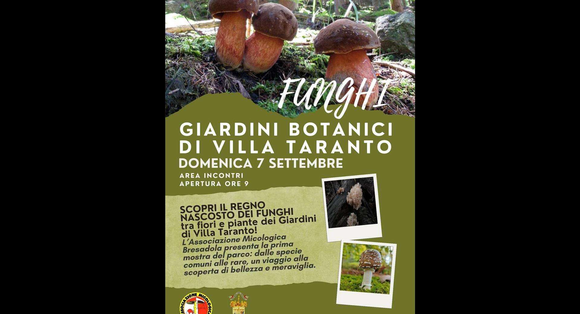 SCOPRI IL REGNO NASCOSTO DEI FUNGHI