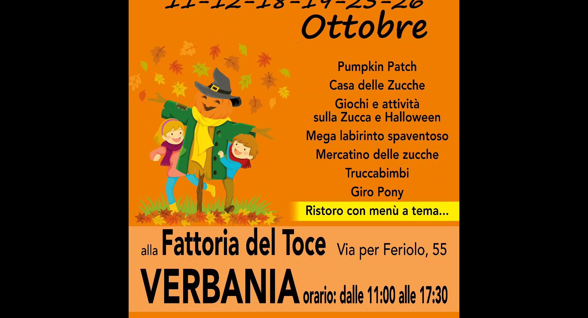 Zucca in Fattoria 2025
