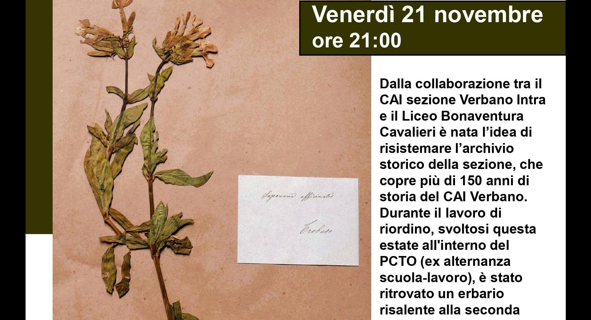 L’archivio storico sezionale e l’erbario ritrovato