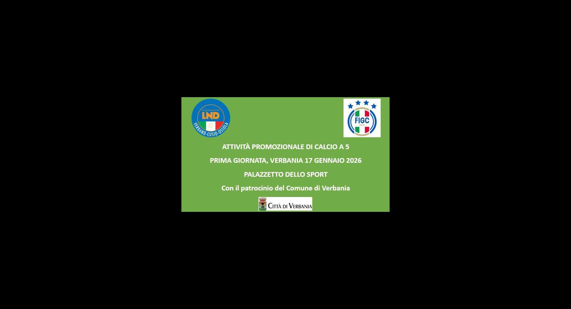 Attività promozionale di Calcio a 5  categorie Pulcini e Primi calci