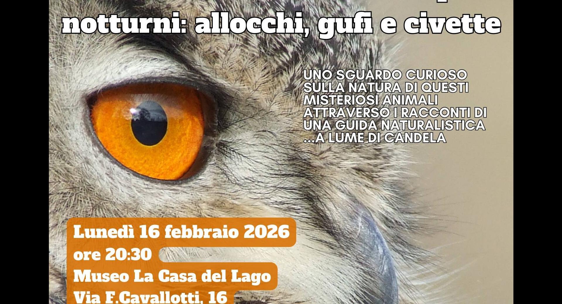 Il misterioso mondo dei rapaci notturni