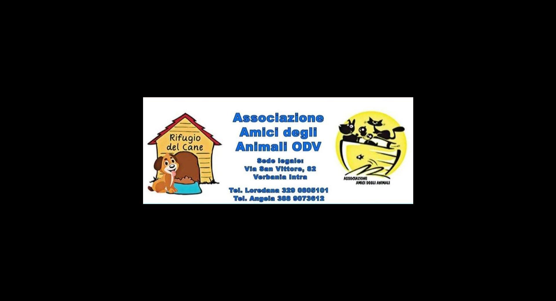 amici degli animali