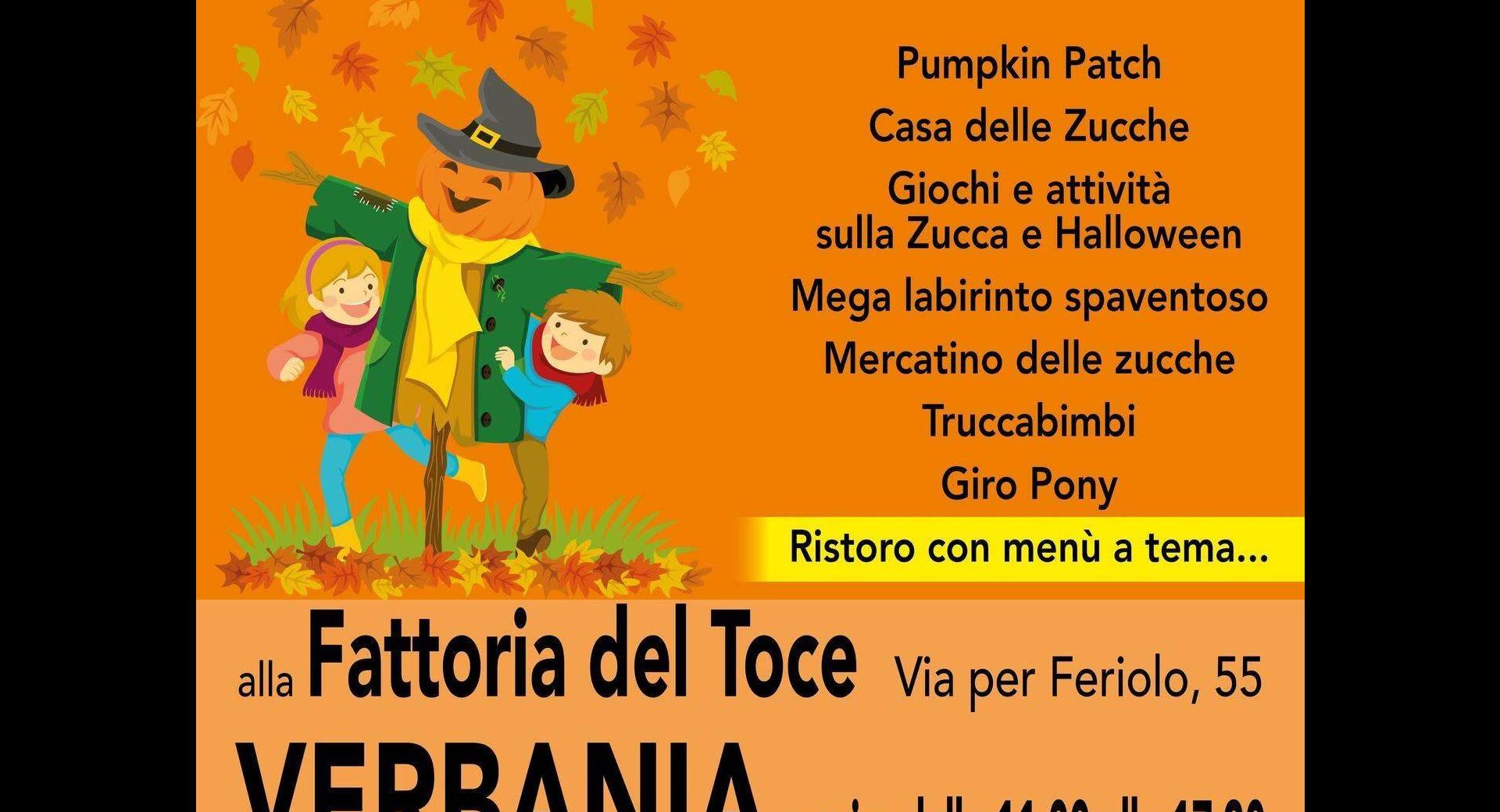 Zucca in Fattoria 2026