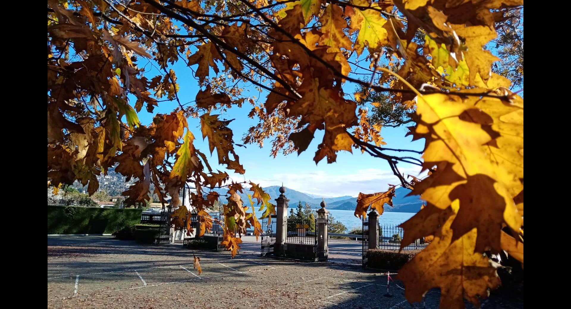 Villa Taranto autunno