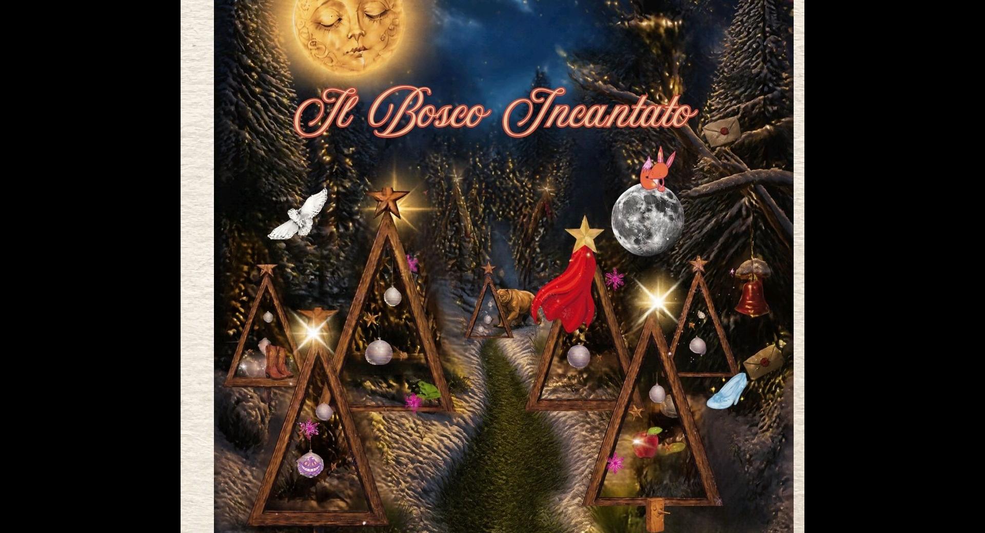 Bosco incantato