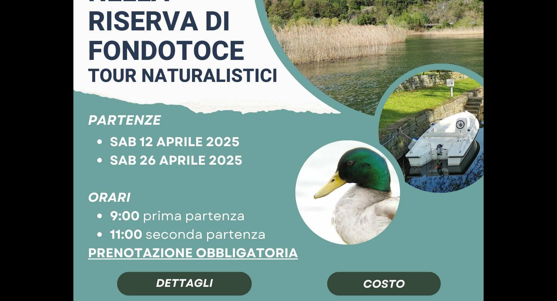 Visite in barca elettrica nella Riserva di Fondotoce aprile