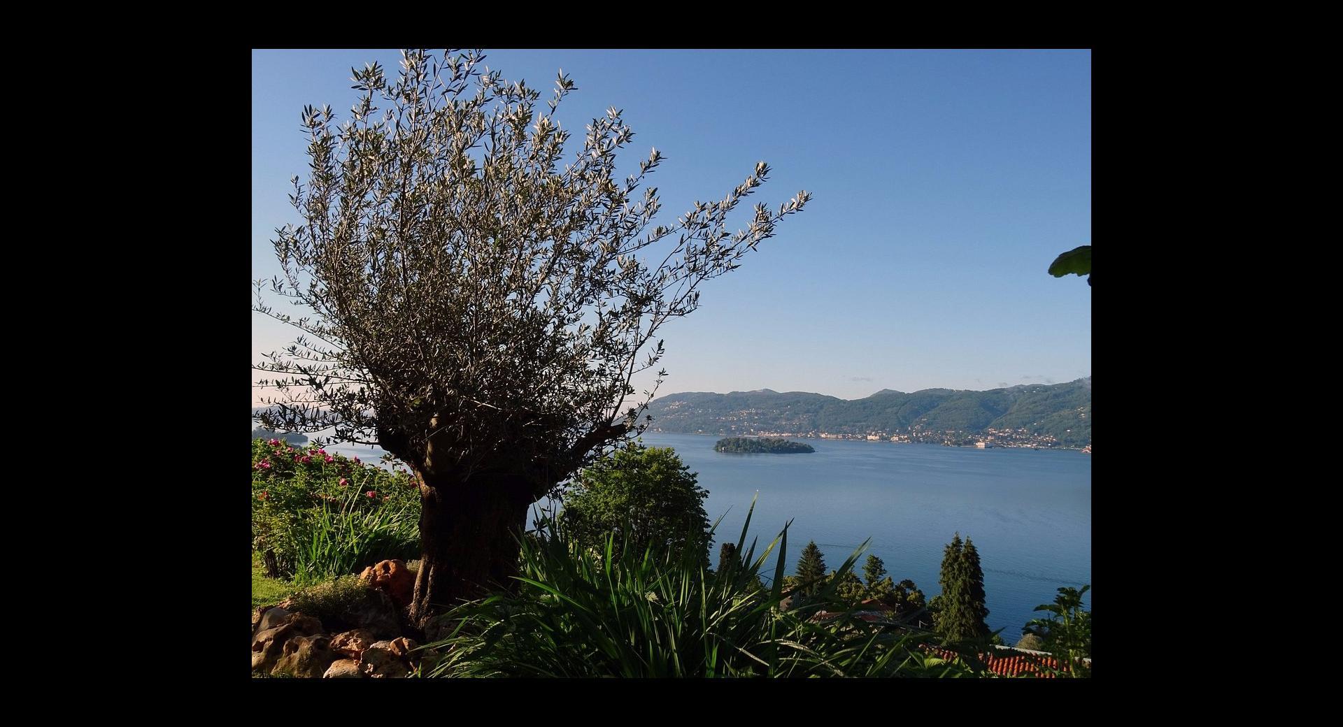 B&B Renalù