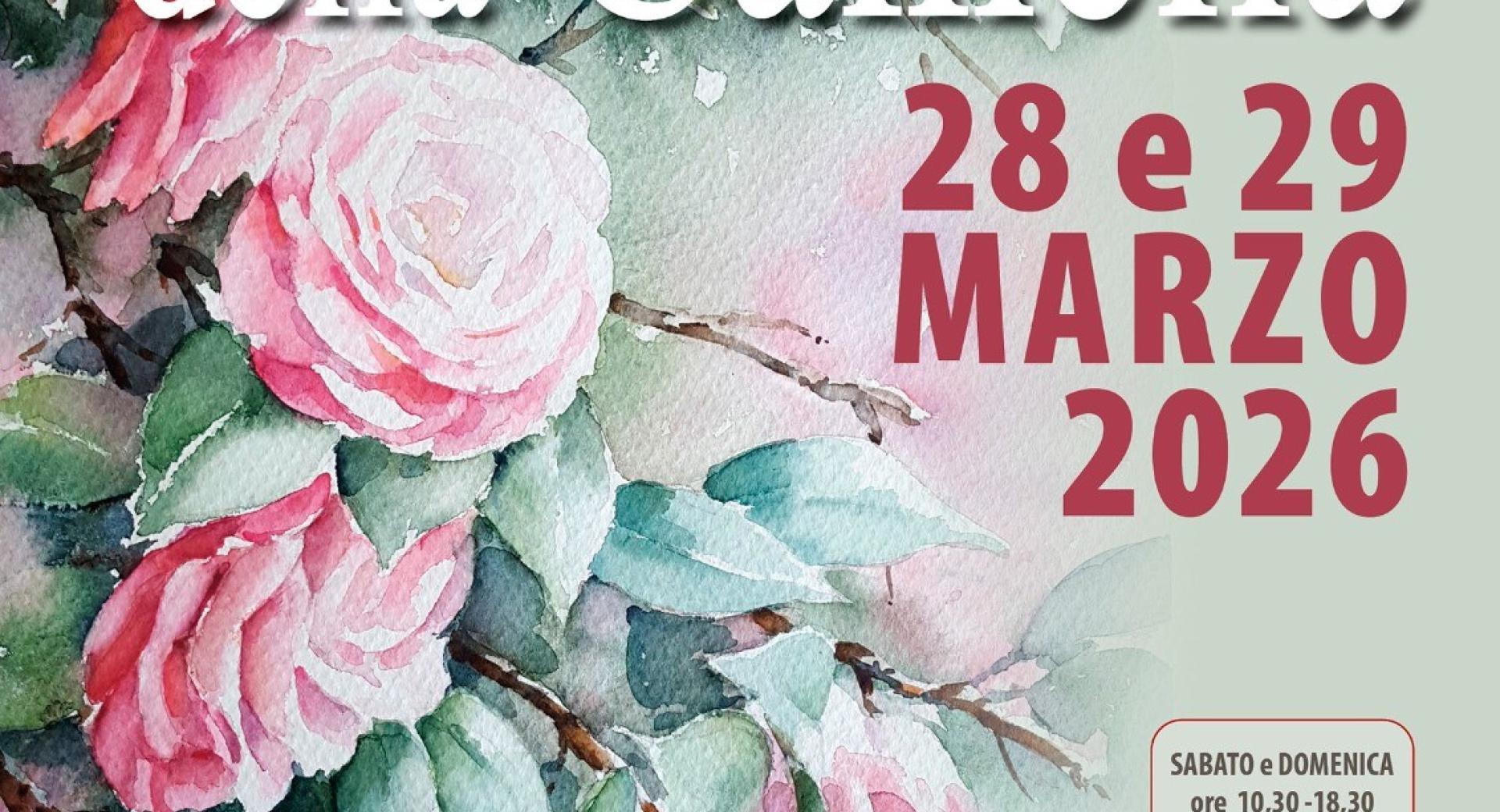 58^ Mostra della Camelia Primaverile a Verbania