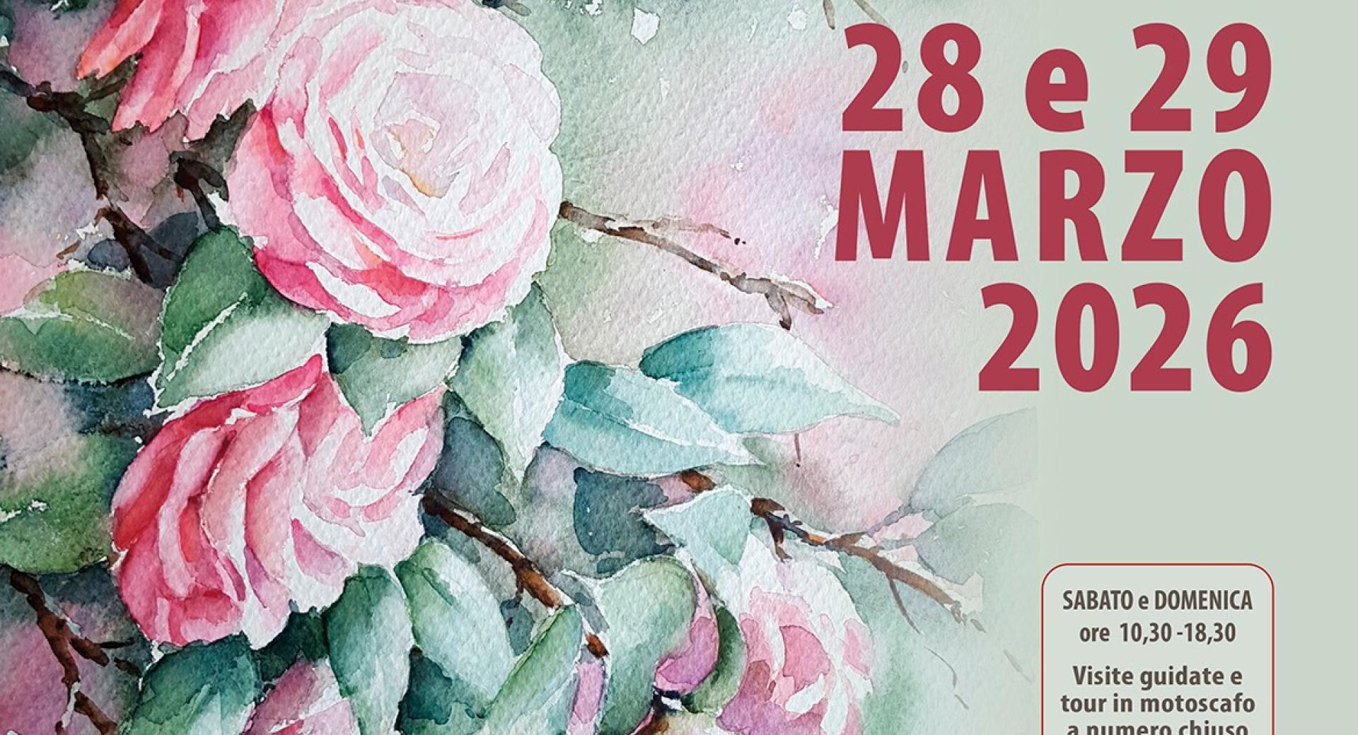 58^ Mostra della Camelia Primaverile a Verbania